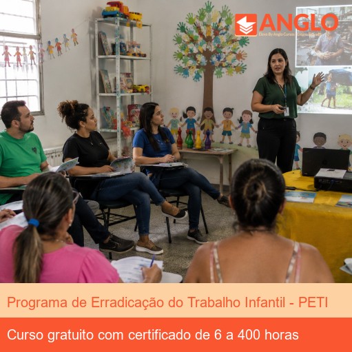 Programa de Erradicação do Trabalho Infantil - PETI